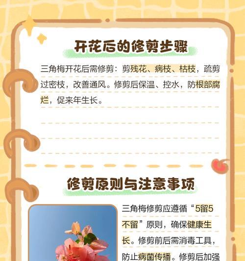 三角梅修剪叶子以保持美观的方法是什么？