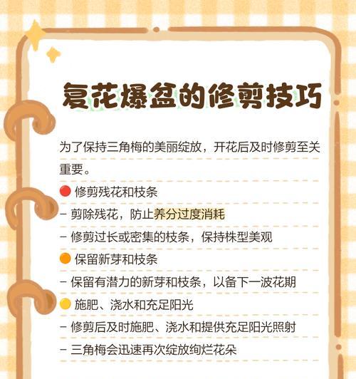 三角梅修剪叶子以保持美观的方法是什么？