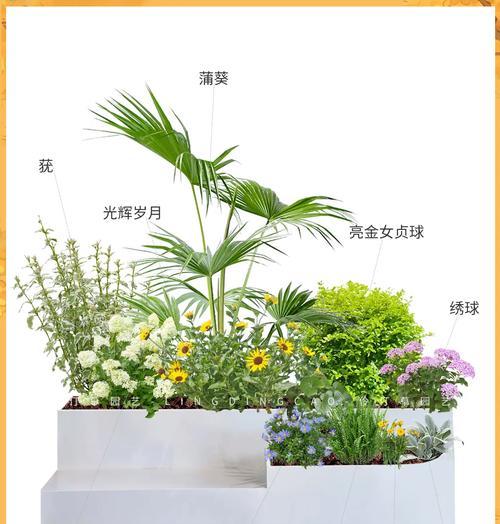 田青播种的最佳季节是什么时候？