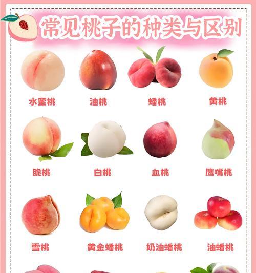 桃子栽培技术要点和方法有哪些？如何确保高产和优质？