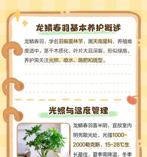 龙鳞春羽叶子发黄如何处理？