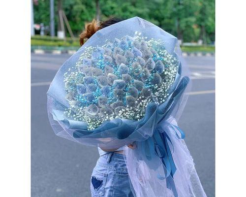 自制满天星谷子肥料的方法是什么？