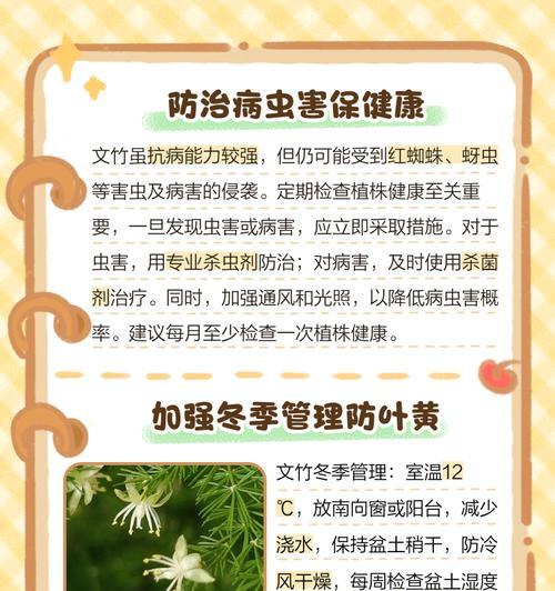 叶子发黄又黑的解决方法是什么？