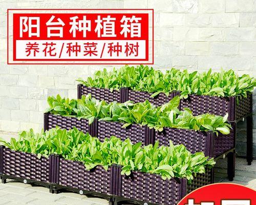 贡兰的正确浇水方法和注意事项是什么？