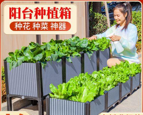 贡兰的正确浇水方法和注意事项是什么？