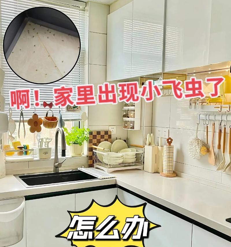 木本植物有小飞虫怎么处理？如何有效防治小飞虫？