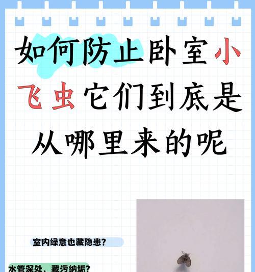 木本植物有小飞虫怎么处理？如何有效防治小飞虫？