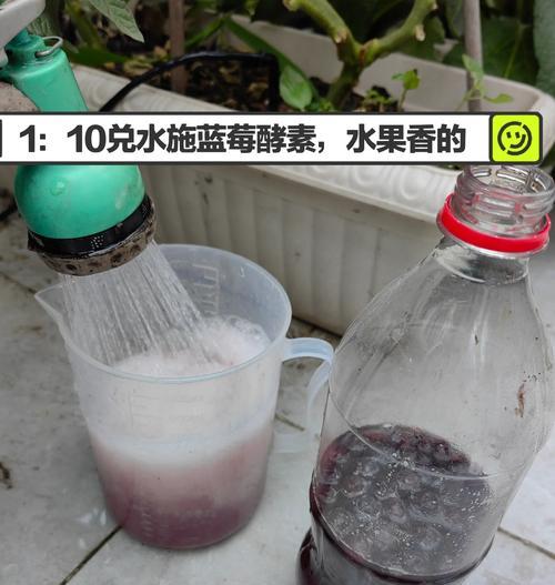 用塑料瓶自制肥料的方法是什么？