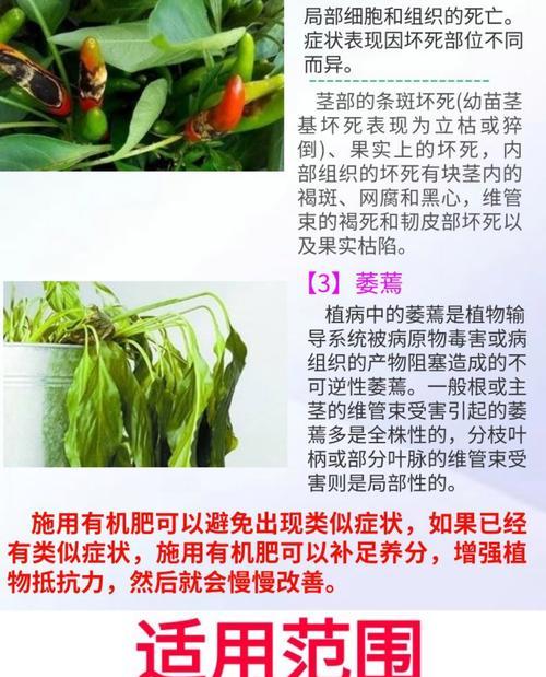 自制幸福树肥料的方法有哪些？