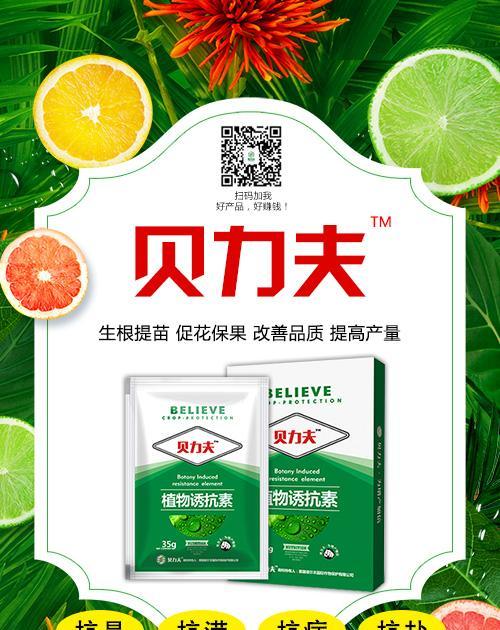 麒麟瓜苗叶子发黄是什么原因？如何进行有效处理？