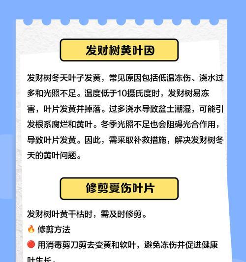 刺松叶子发黄是什么原因？如何有效补救？