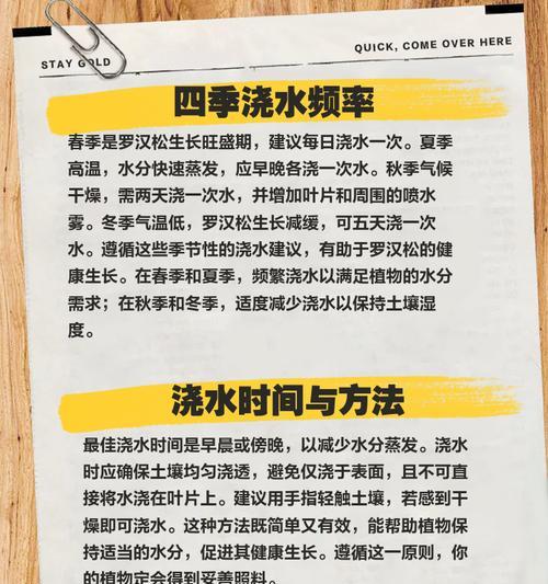 浇水是什么方法最好呢？如何正确进行植物浇水？