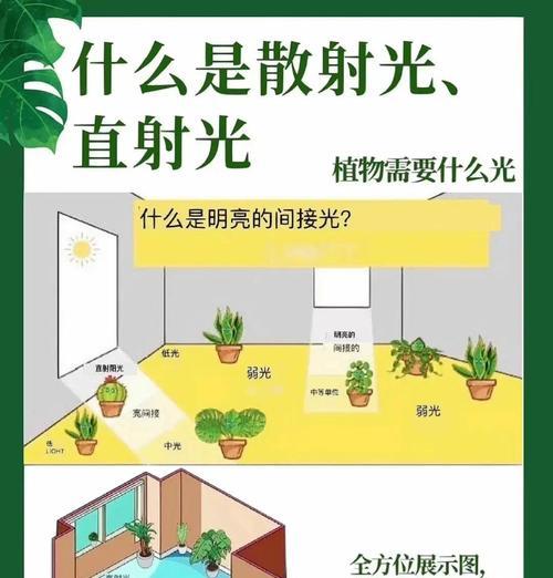 浇水是什么方法最好呢？如何正确进行植物浇水？
