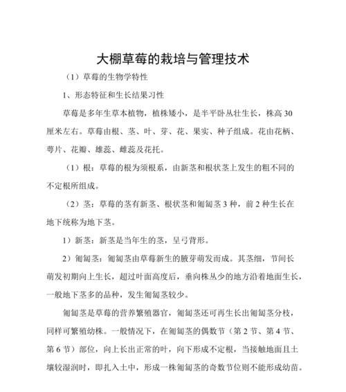 塔式草莓栽培的关键技术要点是什么？