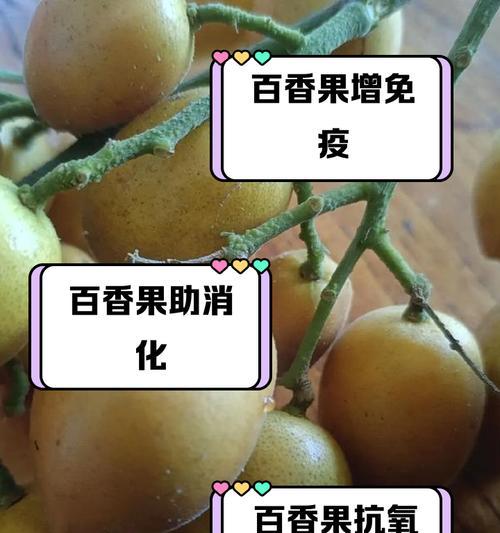 百香果叶子发黄枯萎是怎么回事？可能的原因是什么？