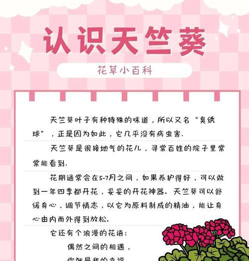 天竺葵如何有效熏蚊子？使用天竺葵防蚊的正确方法是什么？