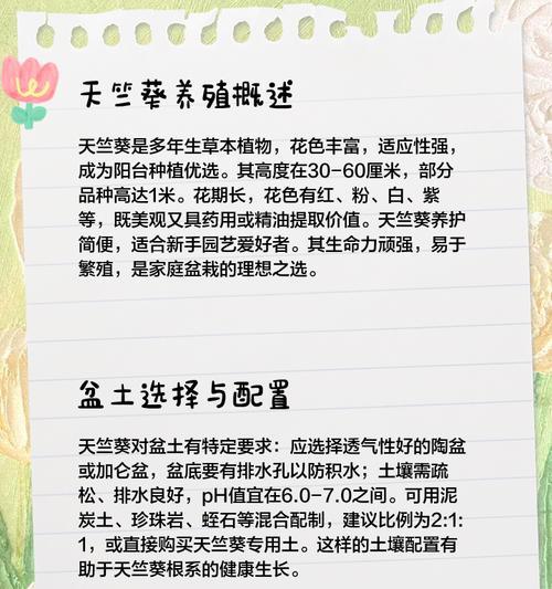 天竺葵小布蕾的正确养护方法是什么？