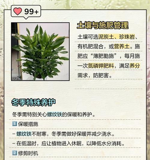 铁线莲有黄点是怎么回事？可能的原因和解决办法有哪些？