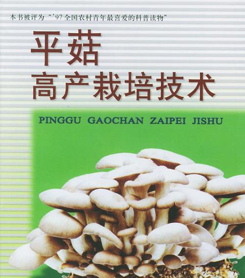 平菇粉碎栽培技术要点？如何操作？