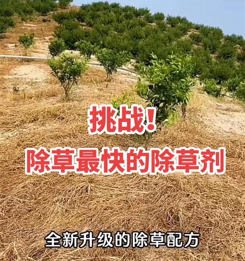 草铵膦对木本植物有害吗？使用方法是什么？