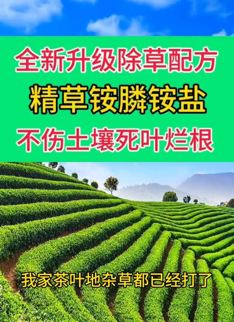 草铵膦对木本植物有害吗？使用方法是什么？