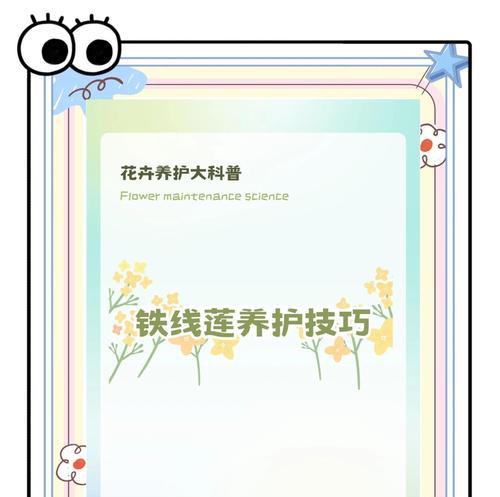 两广的铁线莲怎么养得好？在热带气候下铁线莲的养护技巧有哪些？