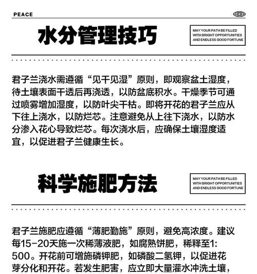 君子兰水培根部发绿的原因是什么？
