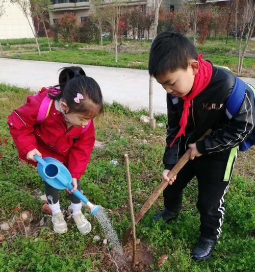 爬山虎正确的浇水方法是什么？