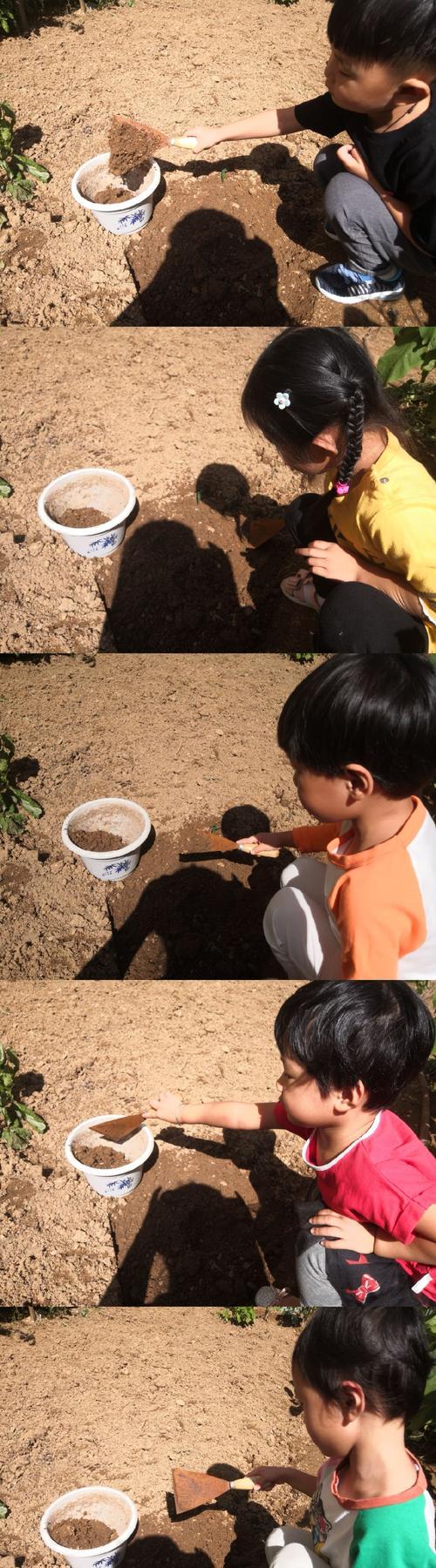 爬山虎正确的浇水方法是什么？