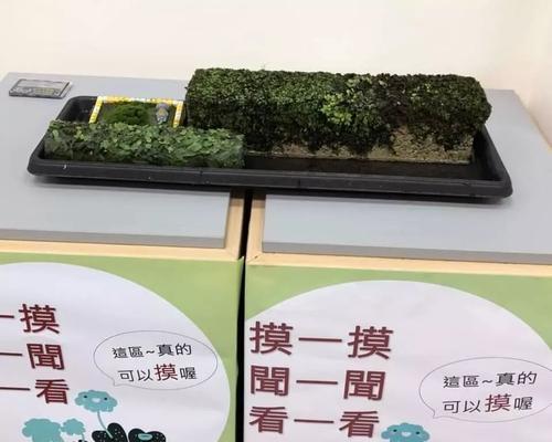 君子兰泥炭土苔藓种植技巧是什么？