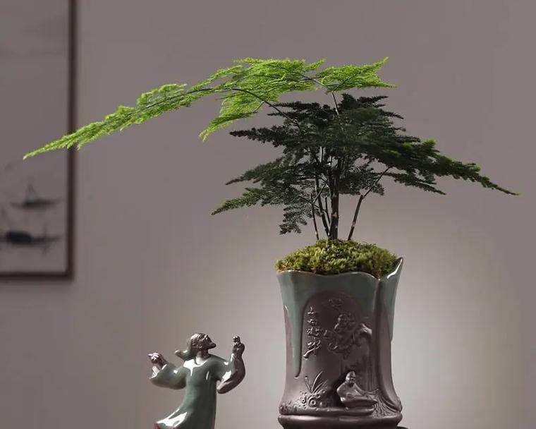 佛家盆景摆件怎么摆放？有哪些风水讲究？