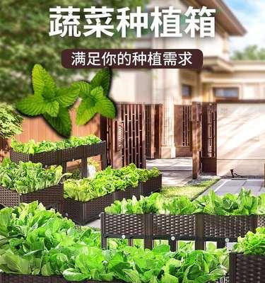 矮柳的栽培技术有哪些呢？怎样实现健康成长？