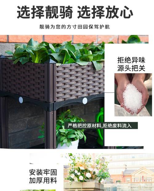 矮柳的栽培技术有哪些呢？怎样实现健康成长？