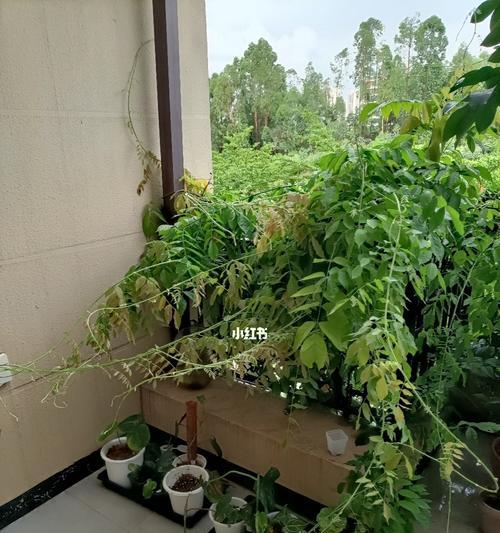 盆景遮阳网伞怎么用？如何正确使用遮阳网伞？