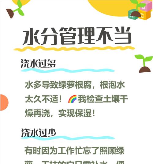绿萝叶子爱发黄是怎么回事？如何解决？