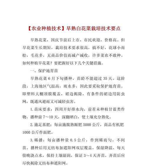 安徽地区花菜播种的最佳时间是什么时候？