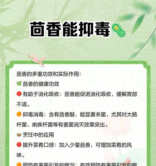 茴香叶子发黄的原因及解决办法是什么？