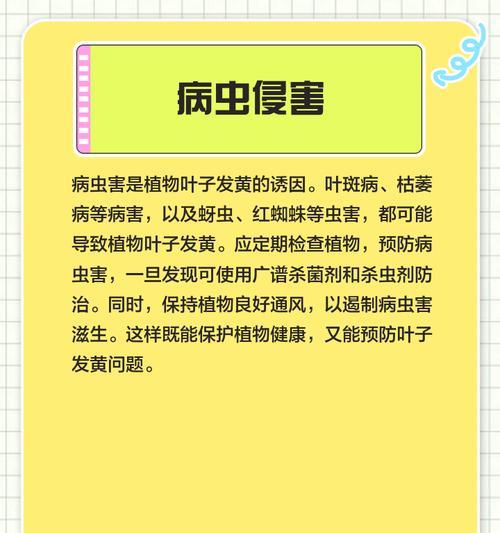 三宝芦荟叶子发黄的解决方法有哪些？