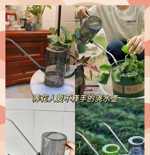 用什么方法长时间不用给花盆浇水？有哪些省心的技巧？