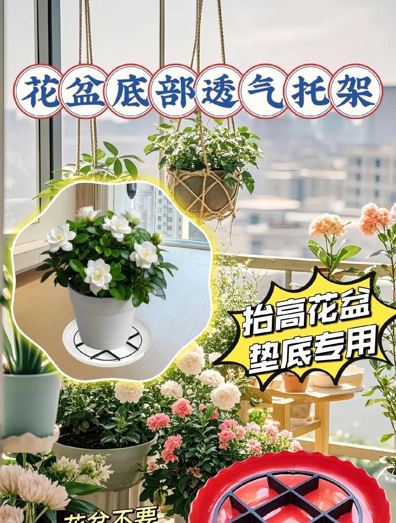 用什么方法长时间不用给花盆浇水？有哪些省心的技巧？