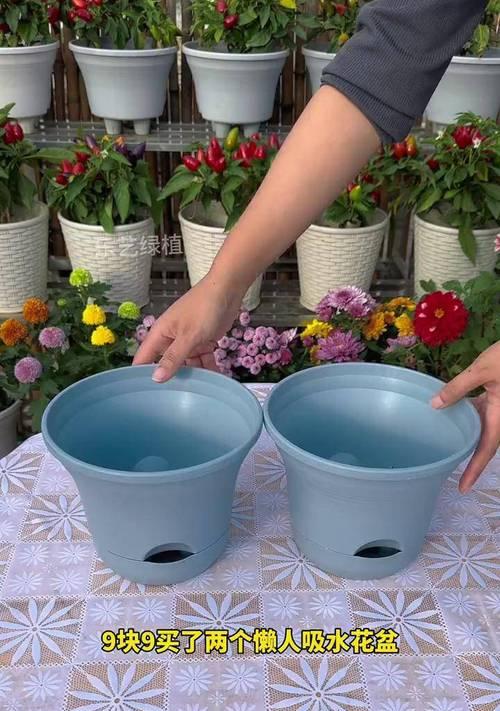 用什么方法长时间不用给花盆浇水？有哪些省心的技巧？