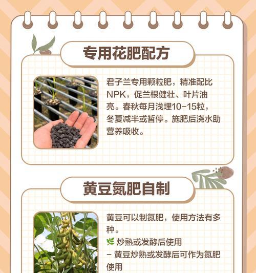 君子兰施肥需要哪些肥料？