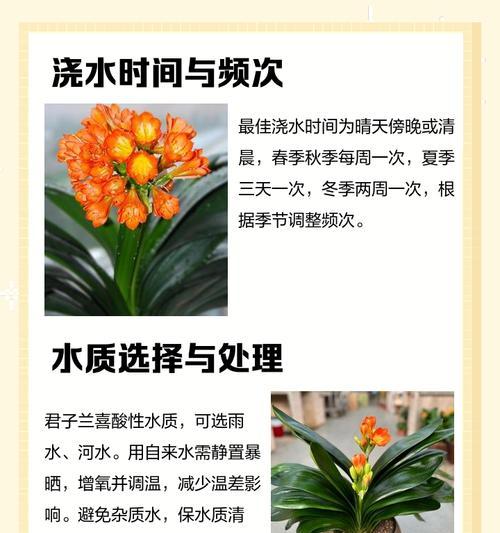 君子兰施肥需要哪些肥料？