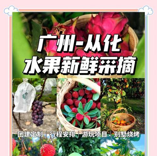 岭南地区优质水果栽培技术有哪些？如何提高产量？
