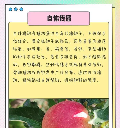 碗如何传播种子？种子传播的自然机制是什么？