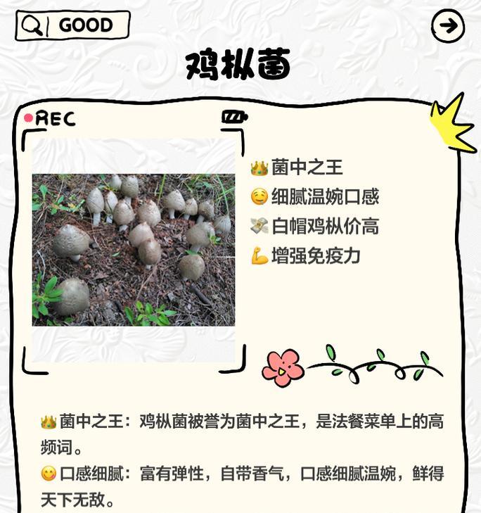 蘑菇仿生栽培的关键技术要点是什么？