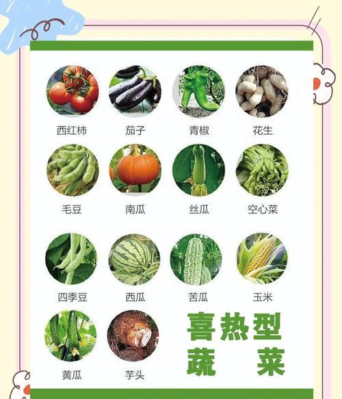 秋季种植蔬菜的最佳播种时间是什么时候？