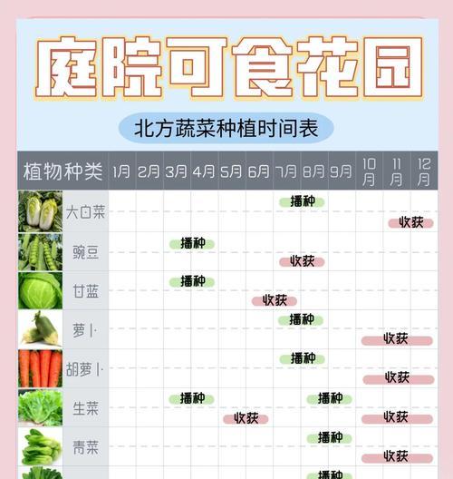 秋季种植蔬菜的最佳播种时间是什么时候？