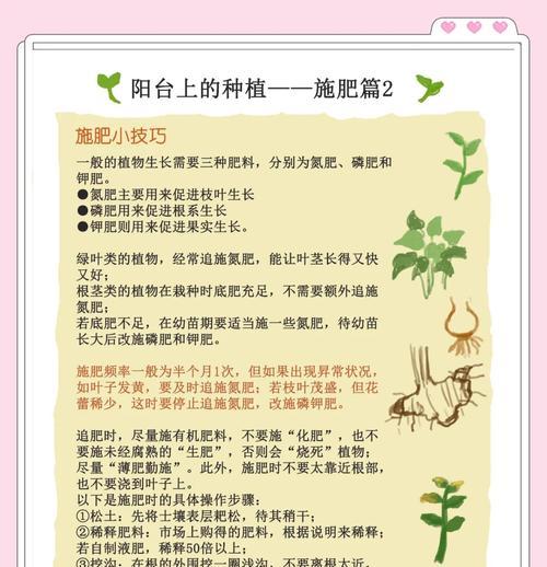 自制高花盆栽植物肥料的步骤是什么？