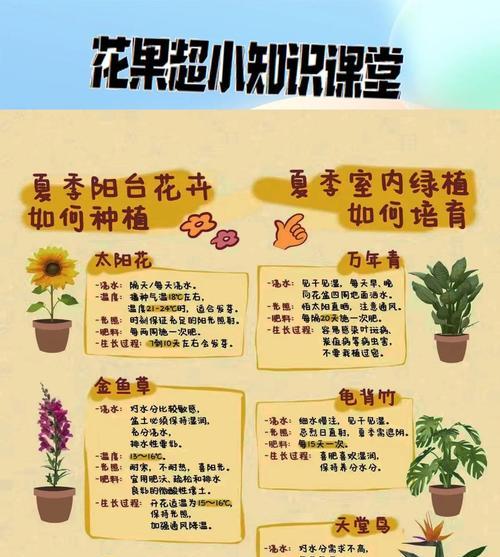 果树露台种植注意事项有哪些？怎样避免常见错误？